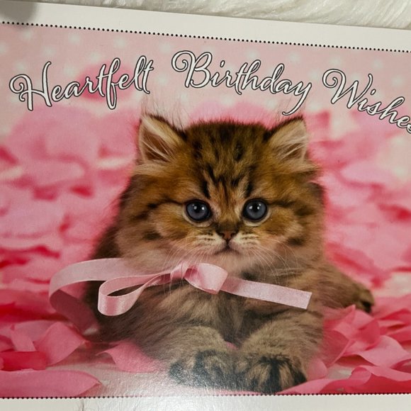 6 birthday card bundle cuddly puppy/kitten with matching print envelopes - Picture 6 of 13